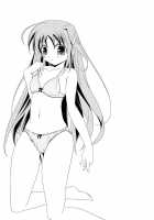 Super Hayate Beam / スーパーハヤテビーム [Kikuchi Tsutomu] [Mahou Shoujo Lyrical Nanoha] Thumbnail Page 30