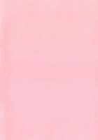 Photorare SEX & Photograph / ふぉとられ SEX&photograph [Sanagi Torajirou] [Original] Thumbnail Page 216