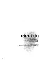 Cicatrix / Cicatrix [Durarara] Thumbnail Page 50