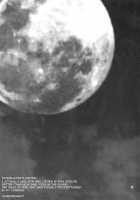 Yukiyanagi No Hon 22 Bitch Time! [Yukiyanagi] [Bayonetta] Thumbnail Page 24