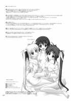 Rokka Wa Honjitsu Mo Ijounashi / 六課は本日も異常なし [Akimoto Dai] [Mahou Shoujo Lyrical Nanoha] Thumbnail Page 30