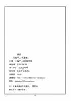 Tsugitai Kappa Musume / 注ぎたい河童娘 [Takadoya Akira] [Touhou Project] Thumbnail Page 18