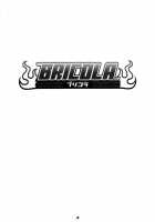 BRICOLA / BRICOLA [Haikawa Hemlen] [Bleach] Thumbnail Page 02