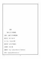 Jirashitai Kappa Musume / 焦らしたい河童娘 [Takadoya Akira] [Touhou Project] Thumbnail Page 18