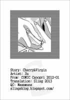 Hustle Cherry&Amp;Virgin / はっする☆Cherry＆Virgin [3U] [Original] Thumbnail Page 17
