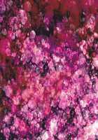 Kuroi Tsuki Ni Michibikare [Eiri] [Sailor Moon] Thumbnail Page 35