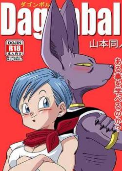 Beerus X Bulma Doujin / ブルマが地球を救う! [Dragon Ball Super]