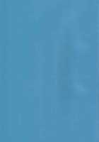 Hot Summer! / Hot Summer! [Rioka Masaki] [Bleach] Thumbnail Page 41