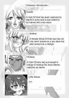 Aidorei  Elf Senki | Record Of Slave Elf War / 愛奴隷エルフ戦記 [Record Of Lodoss War] Thumbnail Page 02