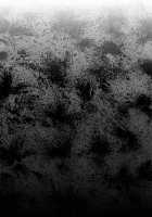 Sounds At Night / 夜に響く [Uchi-Uchi Keyaki] [Suite Precure] Thumbnail Page 22