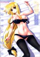 Nineteens Ex.F [Kamogawa Tanuki] [Mahou Shoujo Lyrical Nanoha] Thumbnail Page 23