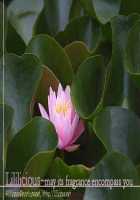 Not All Chicks Are Retards [Original] Thumbnail Page 62