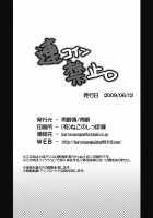 Renkoin Kinshi / 連コイン禁止 [Danshaku] [Touhou Project] Thumbnail Page 34