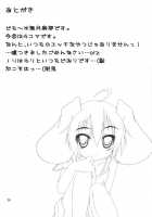 Touhou Mousou Kyou 12 / 東方妄想郷 12 [Minadzuki Maya] [Touhou Project] Thumbnail Page 28