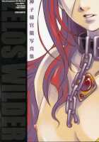 Mikosama Kannou Shasinshu / 神子様官能写真集 [Tales Of Symphonia] Thumbnail Page 20