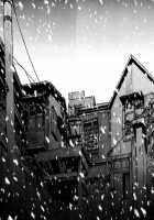 Tropical Citron 2 [Matsumoto Jiro] [Original] Thumbnail Page 256