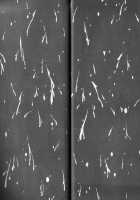 Angel: Highschool Sexual Bad Boys And Girls Story Vol.03 / エンジェル 第3巻 [U-Jin] [Original] Thumbnail Page 131