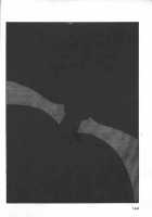 Angel: Highschool Sexual Bad Boys And Girls Story Vol.05 / エンジェル 第5巻 [U-Jin] [Original] Thumbnail Page 135