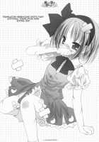 A Gentle Song Cannot Be Sung [Touhou Project] Thumbnail Page 26