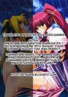 SIGSIG Ex / SIGSIG ex [Minazuki Satoshi] [Mahou Shoujo Lyrical Nanoha] Thumbnail Page 18