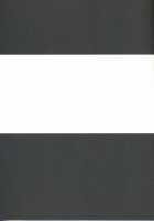 Deep Blue Impulse [Code Geass] Thumbnail Page 33