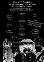 Summer Sakura - Brolen-RR, DOA [Yoshu Ohepe] [Dead Or Alive] Thumbnail Page 28