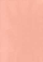 TORATONE / とらとね [Touhou Project] Thumbnail Page 20