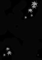 Yukiyanagi's Book 11 - Iroha Gohoushi [Yukiyanagi] [Samurai Spirits] Thumbnail Page 22