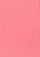 Technical S.S.1 - 2Nd Impression [Neon Genesis Evangelion] Thumbnail Page 27