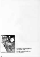 Spring Passing / おくりはる [Ushiki Yoshitaka] [Touhou Project] Thumbnail Page 24