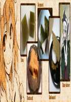 Spring Passing / おくりはる [Ushiki Yoshitaka] [Touhou Project] Thumbnail Page 45