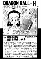 DRAGONBALL H Bekkan / DRAGON BALL H 別巻 [Garland] Thumbnail Page 17