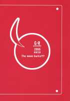 The Moon Barks / 月が吠える [Akiyama Kenta] [Gundam Seed Destiny] Thumbnail Page 34