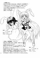 Touhou Enchantresses’ Dance 7 / 東方妖女乱舞7 [Takaku Toshihiko] [Touhou Project] Thumbnail Page 71