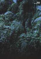 Hunter-Chan Dai Pinchi!! / ハンターちゃん大ピンチ!! [Mizuki Honey] [Monster Hunter] Thumbnail Page 22