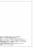 Toshima-Tachi No Kyouen 2 / 年増たちの狂艶2 [Misasagi Task] [Touhou Project] Thumbnail Page 46