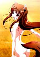 Horon Hororon / ほろんホロろん [Izumi Mahiru] [Spice And Wolf] Thumbnail Page 32