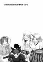 UNDERWORLD PET LIFE / UNDERWORLD PET LIFE [Fujiwara Shunichi] [Touhou Project] Thumbnail Page 02