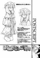 Afternoon Of The Sorceress / 精霊使いの午後 [Murasame Maru] [Touhou Project] Thumbnail Page 24