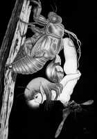 The New Bondage Fairies - Fairie Fetish / FAIRIE FETISH [Kondom] [Original] Thumbnail Page 156