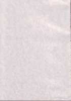 Iro-7 / iro-7 [Gust-San] [Mahou Sensei Negima] Thumbnail Page 44