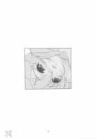Sternness / STERNNESS [Harukaze Soyogu] [Gundam Seed] Thumbnail Page 20