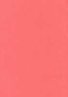 I Love You, I Need You, I Fuck You / I love you, I need you, I fuck you [Anji] [Eureka 7] Thumbnail Page 36