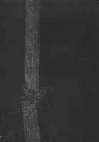 Negimaru! 3 / ネギまる! 3 [Kimimaru] [Mahou Sensei Negima] Thumbnail Page 30