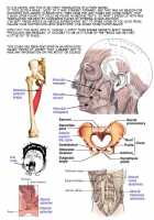 Mokusei / 木製 [Pikupikun] [Original] Thumbnail Page 17