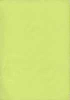 E.R.T / E.R.T [Kame] [Eureka 7] Thumbnail Page 23