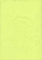 E.R.T / E.R.T [Kame] [Eureka 7] Thumbnail Page 24