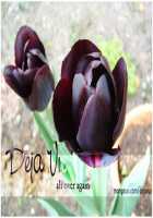 Tifa Hard AC / ティファハードAC [Crimson] [Final Fantasy] Thumbnail Page 59