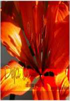 MISSION A-C / MISSION A・C [Toda Youchika] [Final Fantasy] Thumbnail Page 25