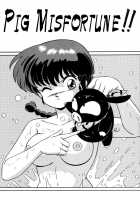 Daughters Of The Tendo House Vol. 2 / 天道家の娘たち Vol.2 [Taya Takashi] [Ranma 1/2] Thumbnail Page 04